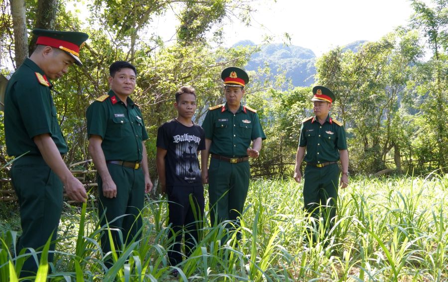 Các đại biểu kiểm tra mô hình trồng cỏ nuôi bò sinh sản tại cụm Còi.