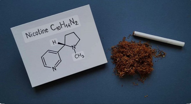 Tiêu chuẩn thuốc lá điếu mới: Cân nhắc lộ trình giảm Tar, Nicotin sau góp ý từ doanh nghiệp