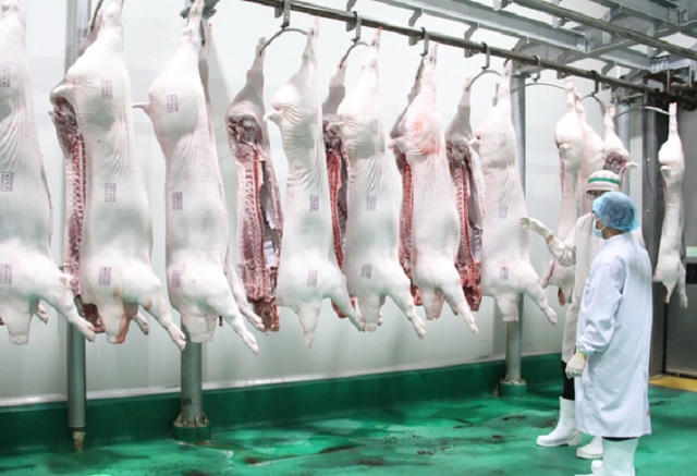 Một góc cơ sở giết mổ lợn của Công ty CP Chăn nuôi C.P Việt Nam tại Gia Lai. Ảnh: DN