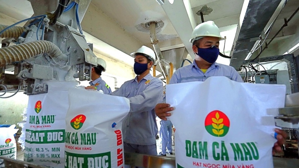 Kết quả sản xuất kinh doanh của Phân bón Cà Mau phản ánh rõ hiệu quả của chiến lược mở rộng thị trường