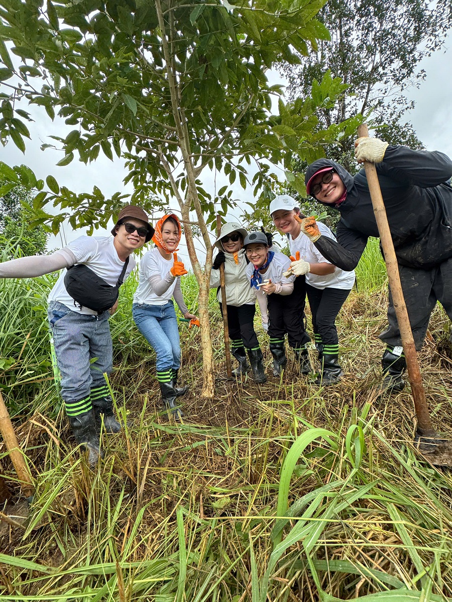 Trồng rừng Nam Cát Tiên Trồng rừng Nam Cát Tiên