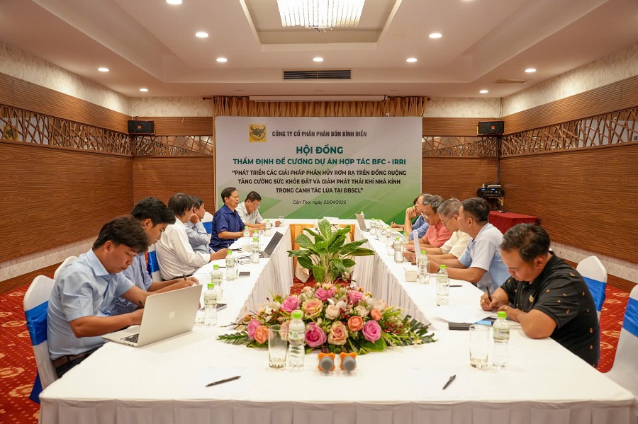 Bình Điền hợp tác với Viện Nghiên cứu Lúa gạo Quốc tế (IRRI) nghiên cứu vi sinh vật phân hủy rơm rạ trên đồng ruộng để tăng cường sức khỏe đất và giảm phát thải khí nhà kính.