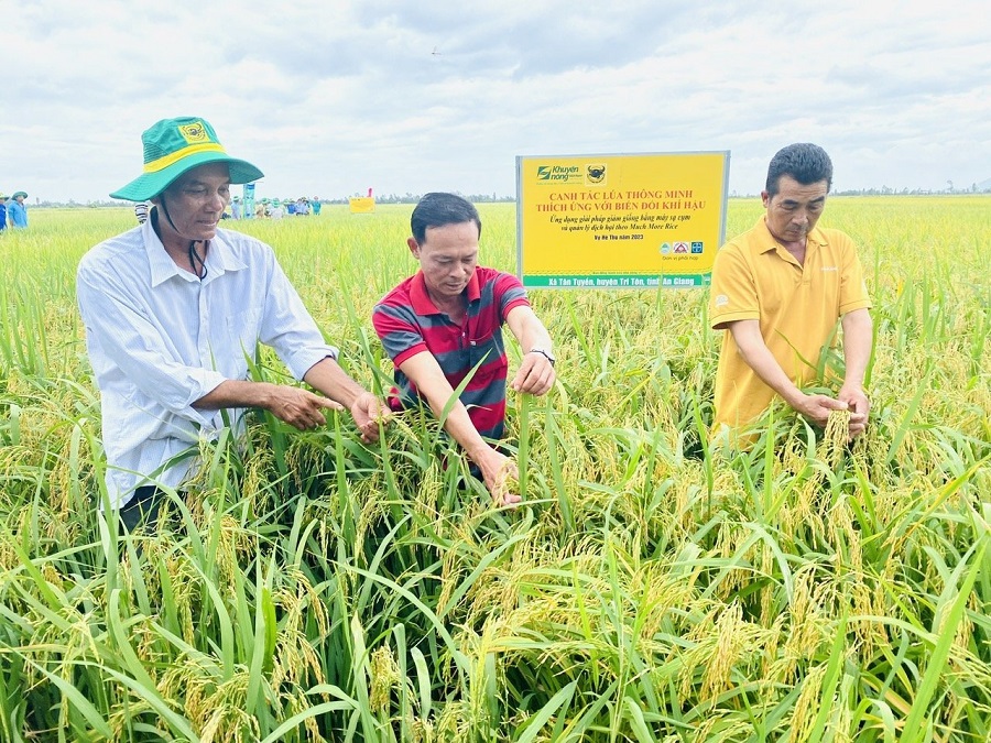 Từ những thành quả của chương trình Canh tác lúa thông minh, Công ty CP Phân bón Bình Điền đã rất tự hào được góp phần vào việc phối hợp và triển khai thực hiện Đề án 1 triệu ha lúa chất lượng cao, phát thải thấp.