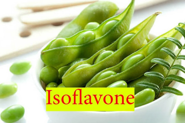 Suy giảm nội tiết tố nữ và giải pháp hỗ trợ từ thảo dược