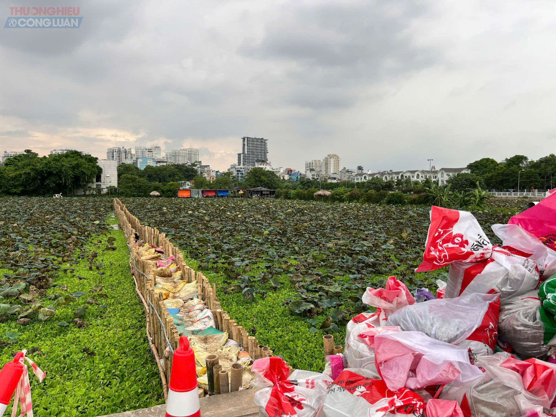 Ngoài sông Tô Lịch, thành phố cũng đồng thời triển khai nhiều hạng mục khác như cải tạo Hồ Sen thành bể lắng, bổ cập nước cho Hồ Tây; xây dựng bãi lọc sinh học 4,45 ha trồng cây ngập nước, kết hợp công viên và đường dạo.