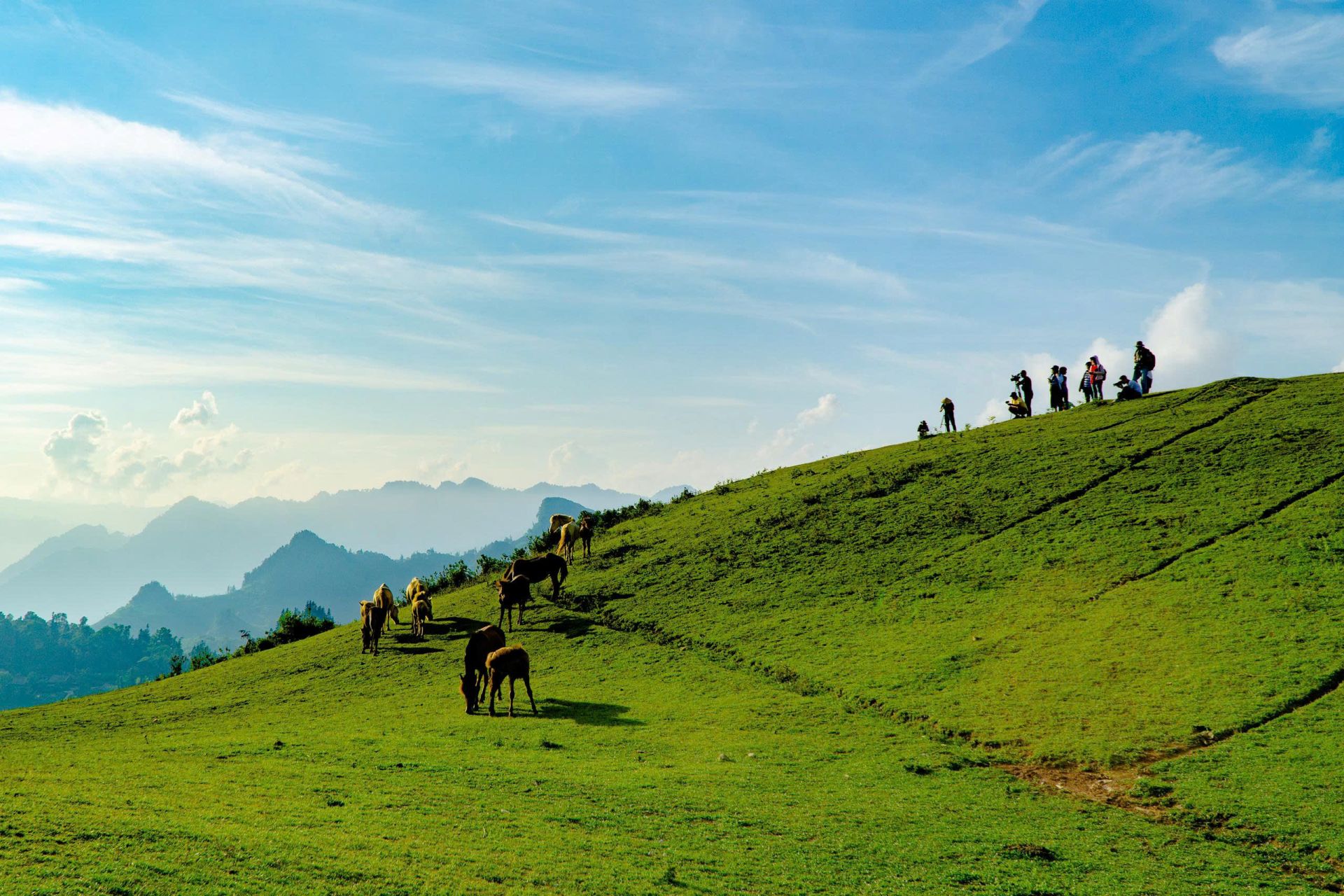 Du khách sẽ có cơ hội khám phá, trải nghiệm vẻ đẹp thiên nhiên khi đến với Bắc Hà