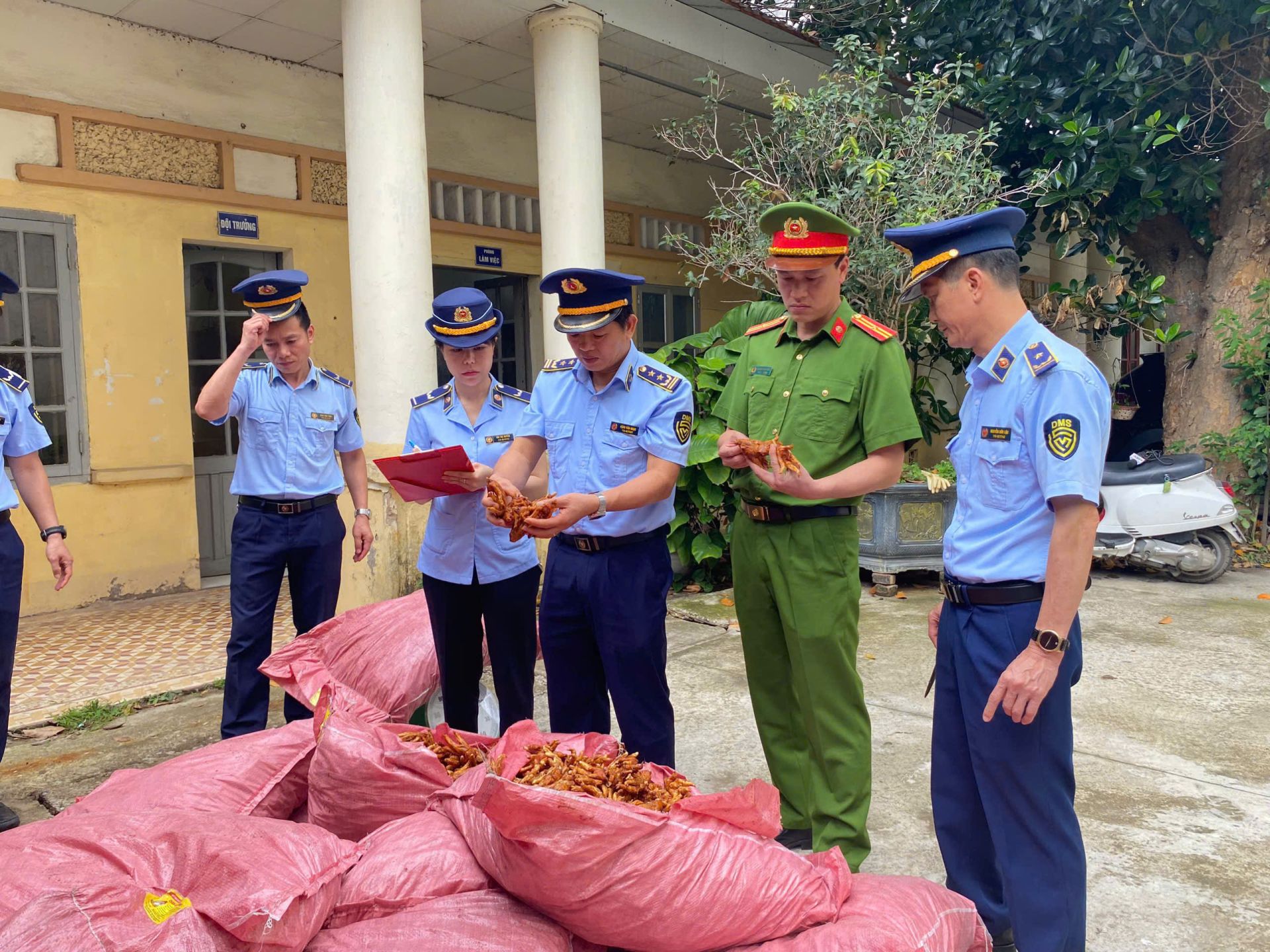 Lạng Sơn tăng cường kiểm soát, xử lý buôn lậu thực phẩm và gia cầm giống qua biên giới