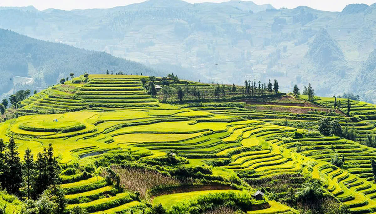 Festival "Nghiêng say mùa thu" năm 2025