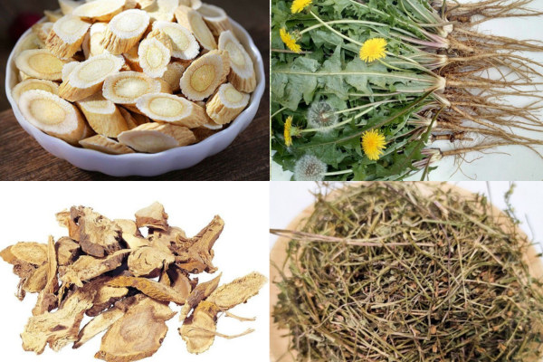 Một số thảo dược giúp tăng sức đề kháng, hỗ trợ điều trị khối u Một số thảo dược giúp tăng sức đề kháng, hỗ trợ điều trị khối u