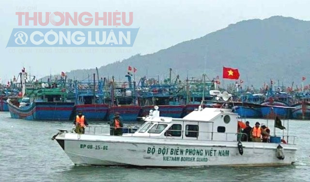 BĐBP thành phố hướng dẫn tàu thuyền neo đậu tránh bão tại Âu thuyền Thọ Quang.