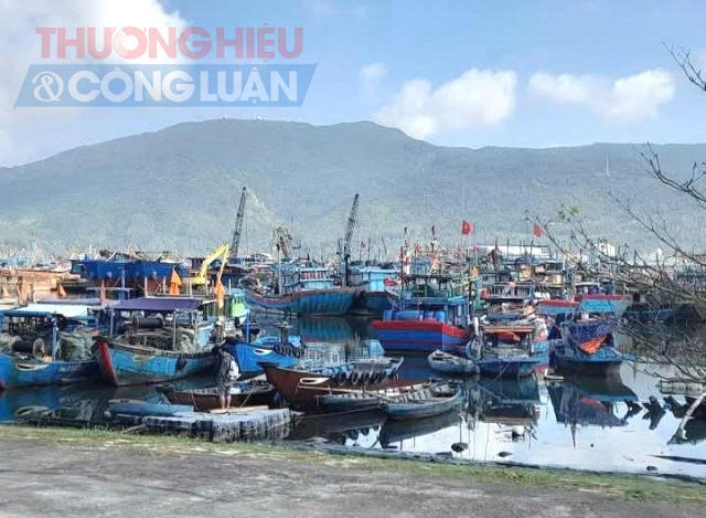 Tàu thuyền neo đậu tránh bão tại Âu thuyền Thọ Quang.