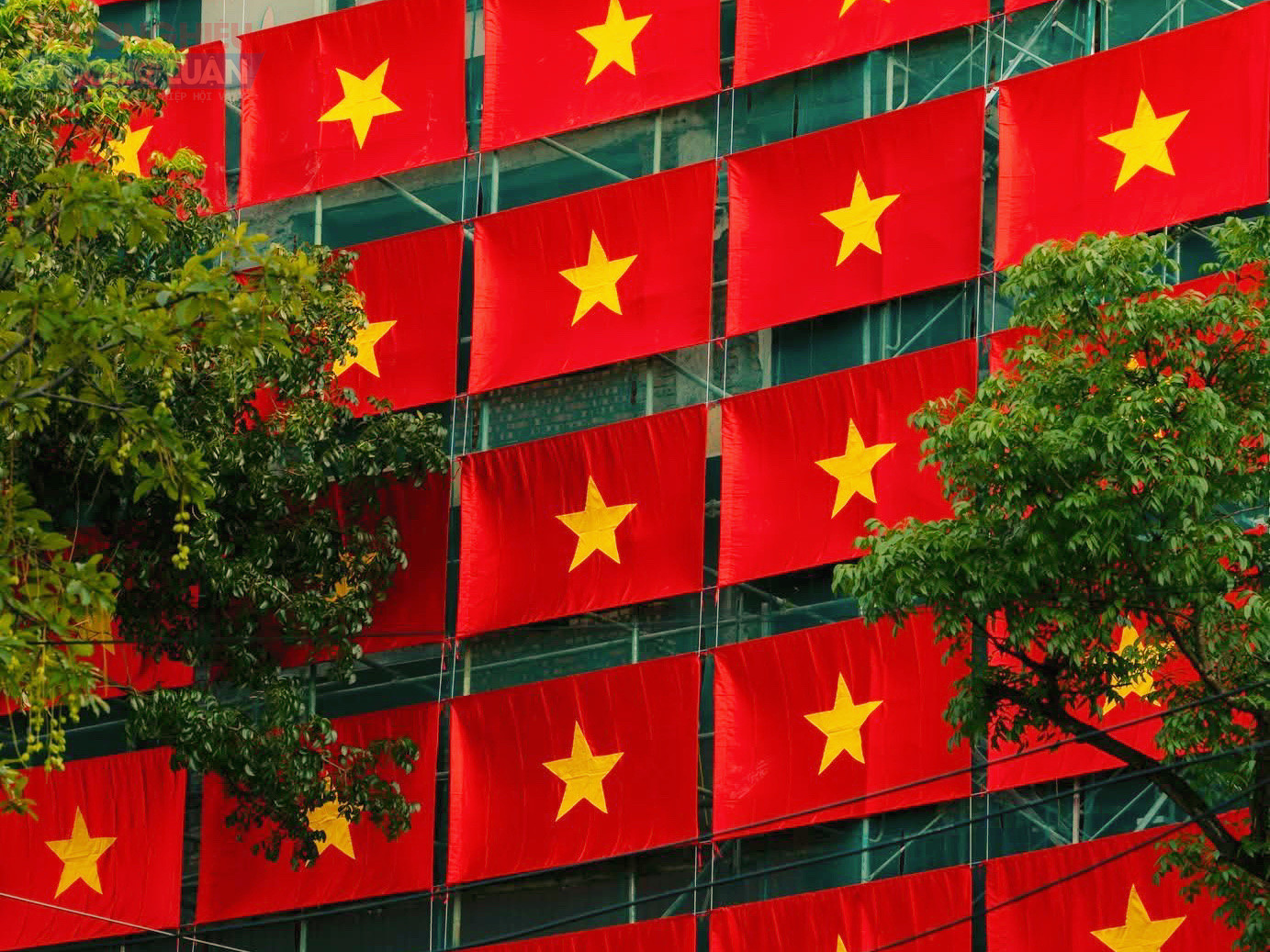 Không chỉ là trang trí, hình ảnh ấy còn gửi gắm thông điệp về tinh thần đoàn kết, niềm tự hào và khát vọng phát triển. Những lá cờ được sắp xếp đều đặn như lời khẳng định mạnh mẽ về ý chí độc lập, hòa bình của dân tộc.