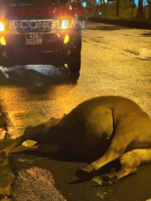 Lực lượng chức đã có mặt ngay tại hiện trường. Lực lượng chức đã có mặt ngay tại hiện trường.