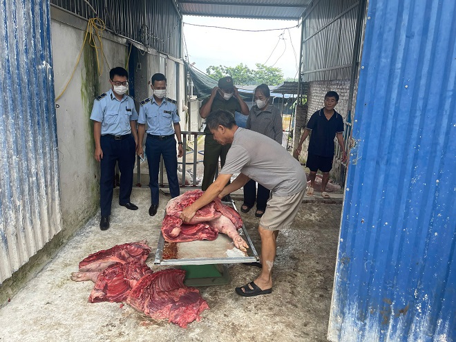 Chống dịch tả lợn châu Phi: Lực lượng Quản lý thị trường Thái Nguyên tăng cường kiểm soát