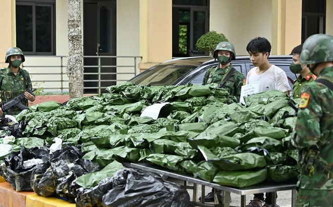 Đánh sập đường dây ma túy: Bắt giữ 240kg cần sa, triệt xóa đường dây xuyên quốc gia