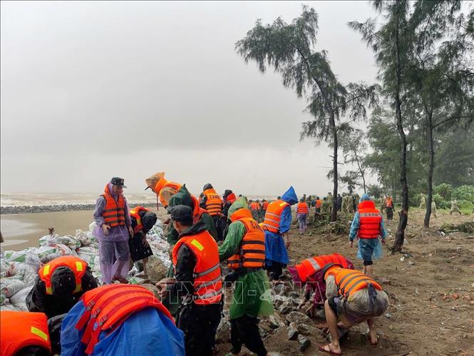 Các lực lượng tham gia gia cố tuyến đê Hội Thống. Ảnh: TTXVN phát