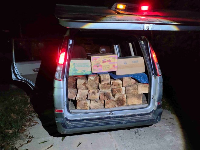 Lực lượng chức năng phát hiện, xử lý xe vận chuyển 21 khúc gỗ quý hiếm. Ảnh: Đội Chuyên trách Bảo vệ rừng Sơn Hội Lực lượng chức năng phát hiện, xử lý xe vận chuyển 21 khúc gỗ quý hiếm. Ảnh: Đội Chuyên trách Bảo vệ rừng Sơn Hội