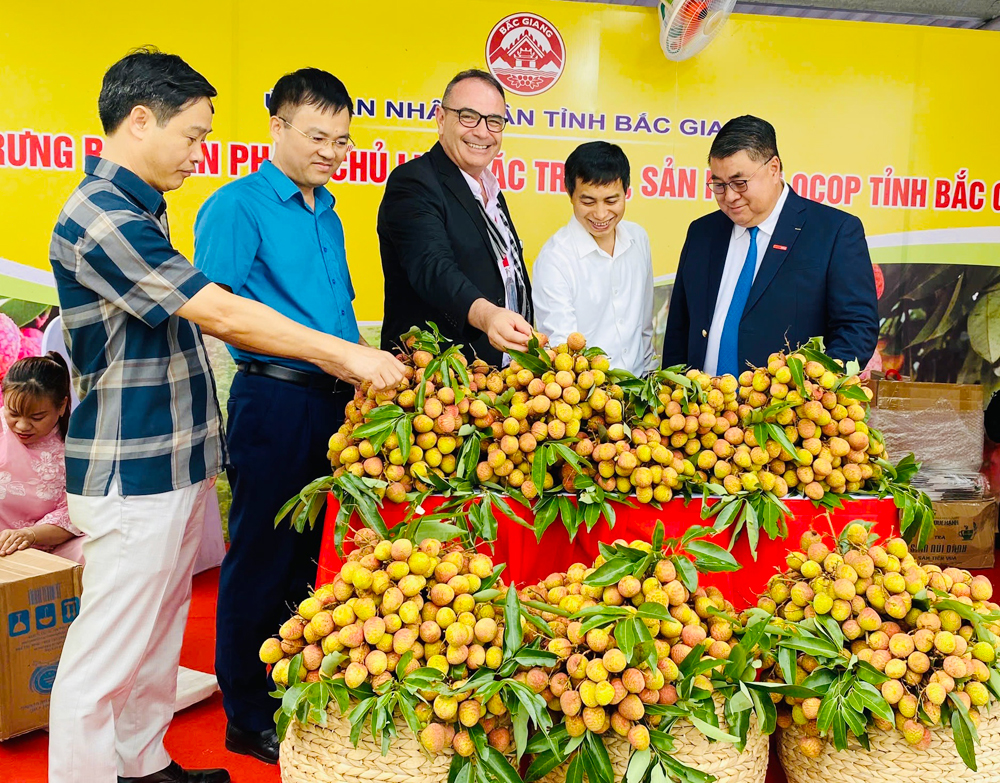 Vải thiều Bắc Ninh trưng bày tại lễ hội trái cây lần thứ 3 năm 2025.