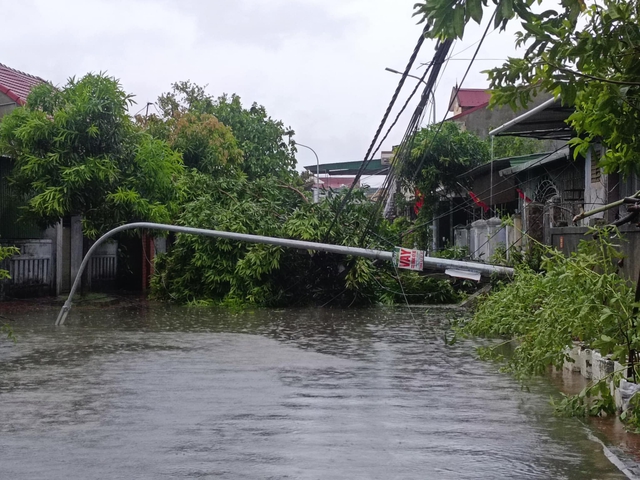 Cây xanh gãy đổ chắn ngang đường giao thông tại Nghệ An.