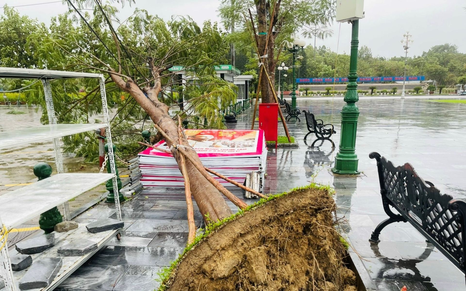 Bão số 5 đã gây thương vong về người và nhiều thiệt hại vật chất tại các địa phương