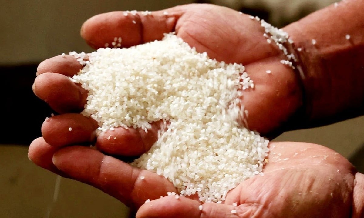 Giá lúa gạo hôm nay ngày 26/8: Giá gạo nguyên liệu xuất khẩu tiếp đà giảm mạnh. (Ảnh minh họa)