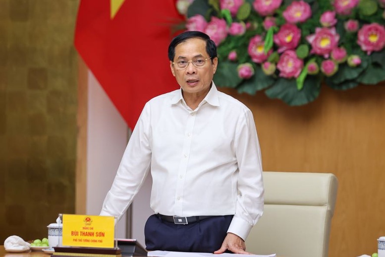Phó Thủ tướng, Bộ trưởng Bộ Ngoại giao Bùi Thanh Sơn phát biểu tại cuộc họp - Ảnh: VGP/Nhật Bắc