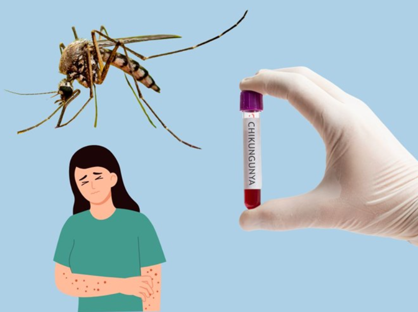 Quảng Ninh: Đảm bảo an toàn phòng chống dịch tại các cửa khẩu