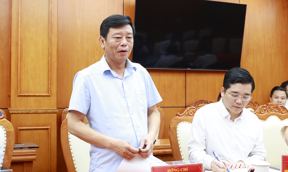 Đồng chí Ngô Tân Phượng, Phó Chủ tịch UBND tỉnh Bắc Ninh phát biểu tại buổi lầm việc.