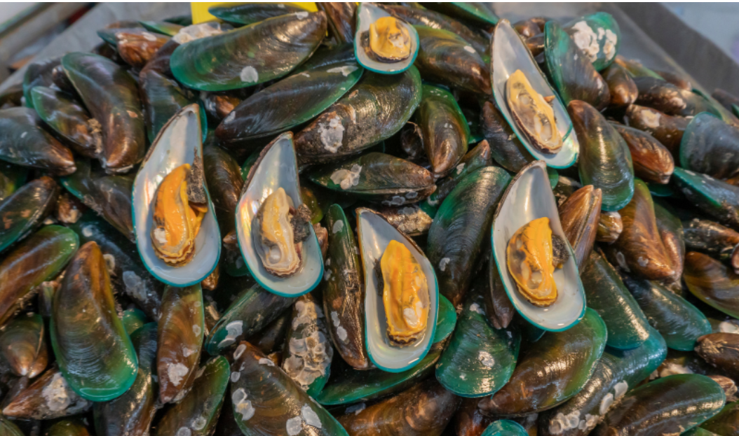 Sản phẩm chứa dầu vẹm xanh giúp cải thiện tình trạng thoát vị đĩa đệm hiệu quả Sản phẩm chứa dầu vẹm xanh giúp cải thiện tình trạng thoát vị đĩa đệm hiệu quả