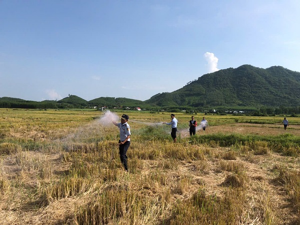 Đội chống săn bắt chim Yến Công ty Yến sào Khánh Hòa tháo gỡ lưới tàng hình mà các đối tượng xấu giăng bẫy chim Yến