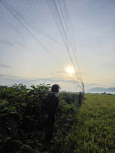 Lưới tàng hình mà các đối tượng xấu giăng bẫy chim Yến tại xã Suối Hiệp ( khu vực xã Suối Tiên cũ)