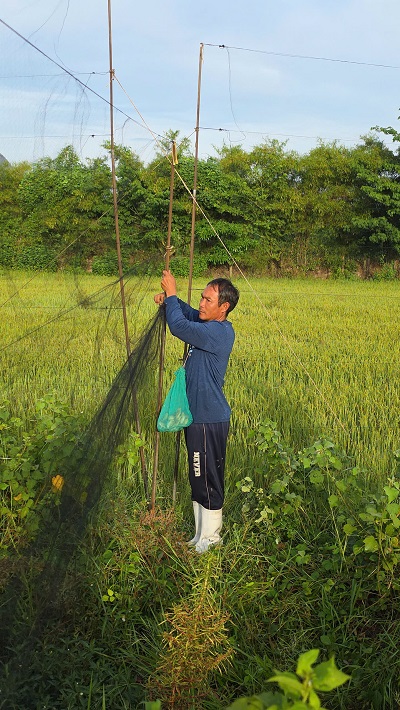 Đội chống săn bắt chim Yến Công ty Yến sào Khánh Hòa tháo gỡ lưới tàng hình mà các đối tượng xấu giăng bẫy chim Yến tại cánh đồng xã Suối Hiệp ( khu vực xã Suối Tiên cũ)