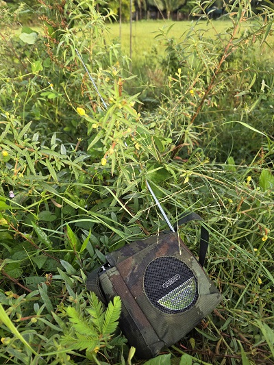 ST- Thiết bị dùng phát âm thanh dẫn dụ chim Yến