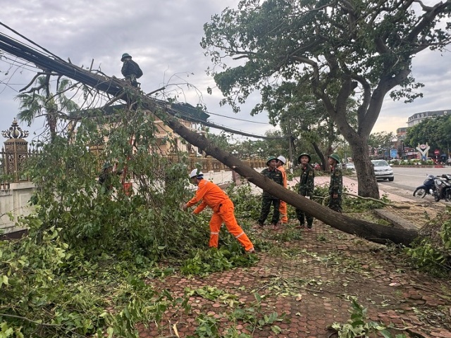 Lực lượng quân nhân Bộ chỉ huy quân sự tỉnh Nghệ An hỗ trợ PC Nghệ An khẩn trương giải phòng, chặt cây gãy đỗ trên đường dây để sớm khắc phục lưới điện.