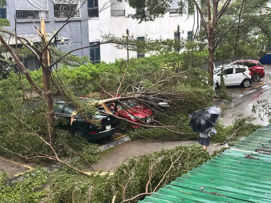 Nhanh chóng khắc phục hậu quả bão số 5 và mưa lũ, khôi phục sản xuất, kinh doanh, ổn định tình hình Nhân dân