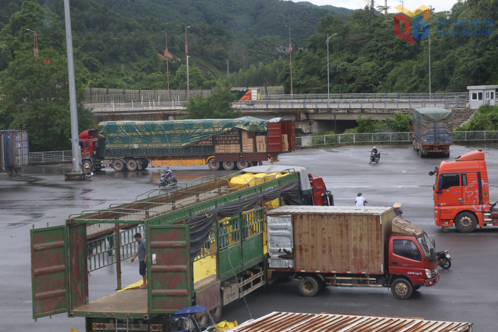 Bốc xếp hàng hoá XNK tại bãi kiểm hoá Bắc Phong Sinh. Bốc xếp hàng hoá XNK tại bãi kiểm hoá Bắc Phong Sinh.