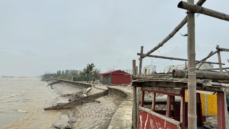 Bộ Nông nghiệp và Môi trường đề nghị Ủy ban nhân dân các tỉnh, thành phố ven biển từ Quảng Ninh đến Khánh Hòa và các bộ, ngành liên quan chủ động ứng phó với áp thấp nhiệt đới trên Biển Đông