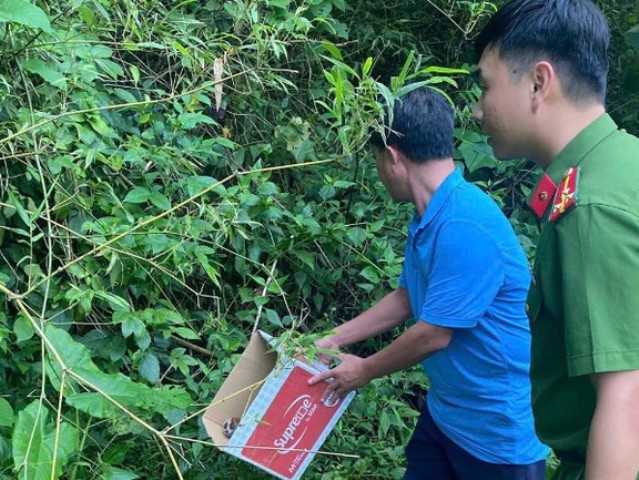 Cơ quan chức năng xã Tiên Đồng thả cu li nhỏ về rừng.