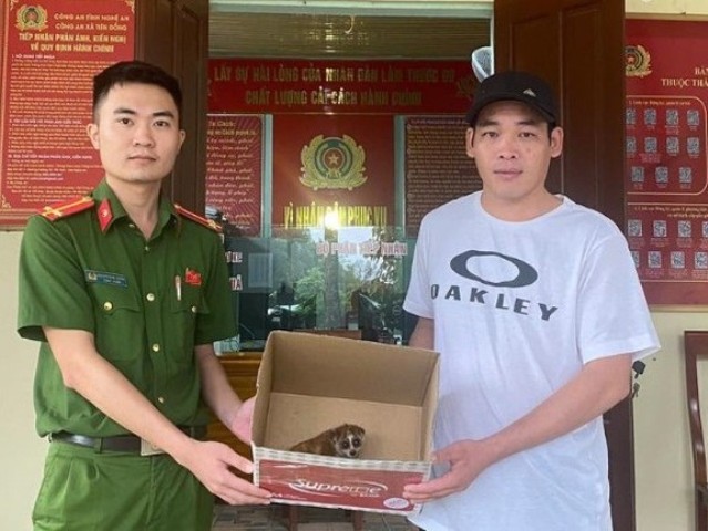 Một cá thể cu li nhỏ được thả về rừng sau khi đi lạc vào nhà dân ở Nghệ An