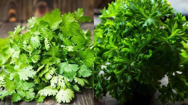 Hơn cả rau gia vị, mùi tây là "thần dược" cho sức khỏe