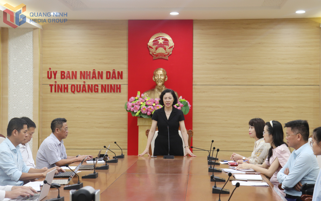 Bà Vũ Thị Mai Anh, Giám đốc Sở Nội vụ Quảng Ninh, phát biểu tại buổi làm việc.