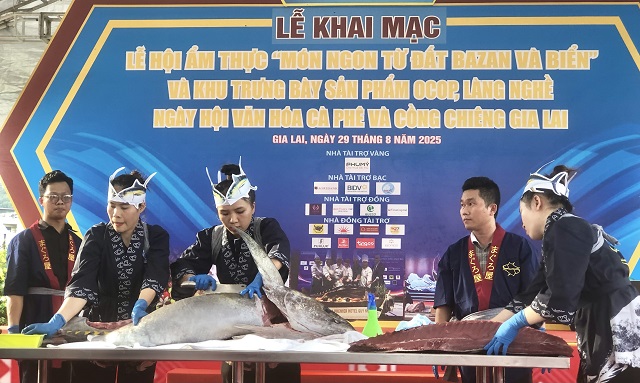 Các chuyên gia của Công ty TNHH Mãi Tín – Nhật Bản biểu diễn kỹ thuật mổ cá ngừ đại dương. Ảnh: Viết Hiền