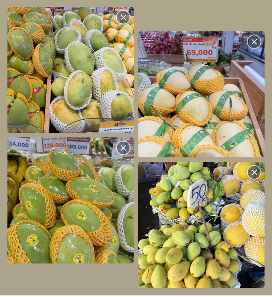 Xoài Việt Nam từng bước khẳng định vị thế trên thị trường