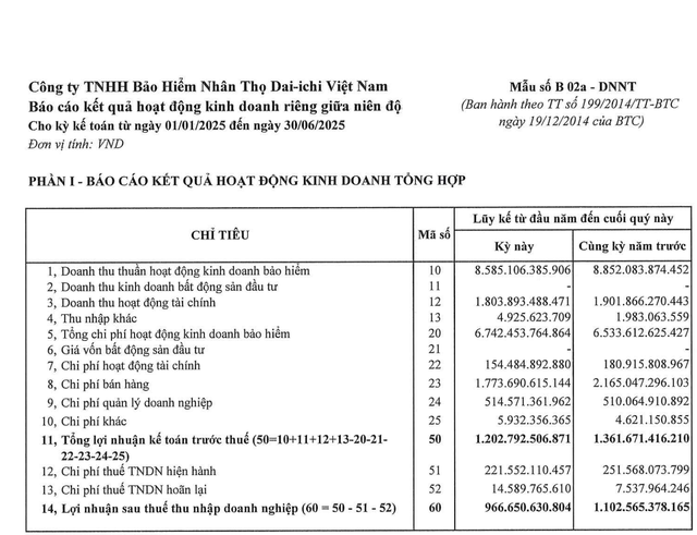 (Nguồn: BCTC Dai-Ichi Life) (Nguồn: BCTC Dai-Ichi Life)