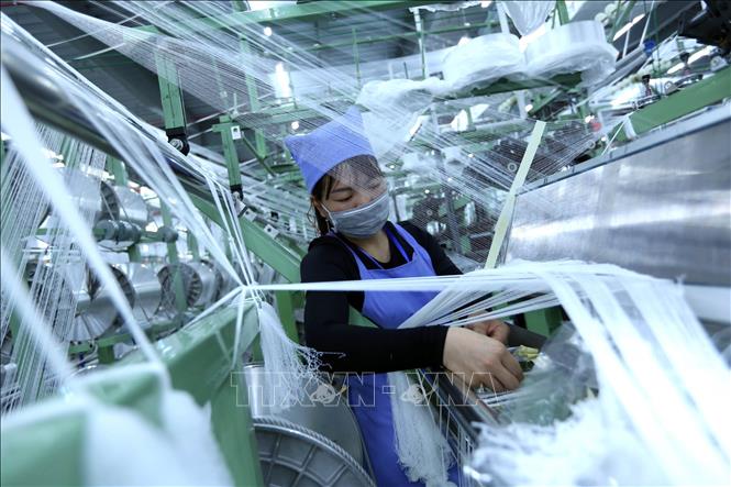 Dây chuyền sản xuất vải dệt kim tại Công ty TNHH Best Pacific Việt Nam, Khu công nghiệp VSIP (Hải Dương). Ảnh tư liệu - minh họa: Danh Lam/TTXVN