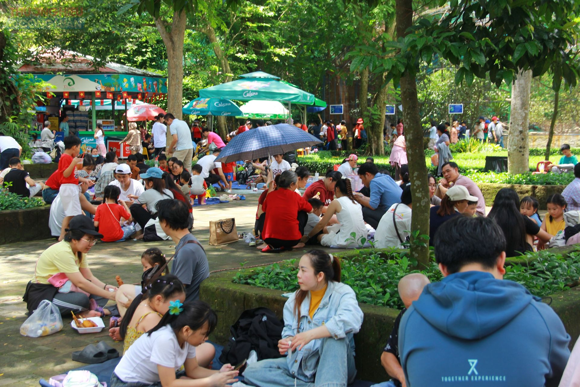 Thảo Cầm Viên Sài Gòn có nhiều cổ thụ phủ bóng mát, nên nơi đây trở thành điểm để khách ăn uống, trò chuyện, nghỉ ngơi