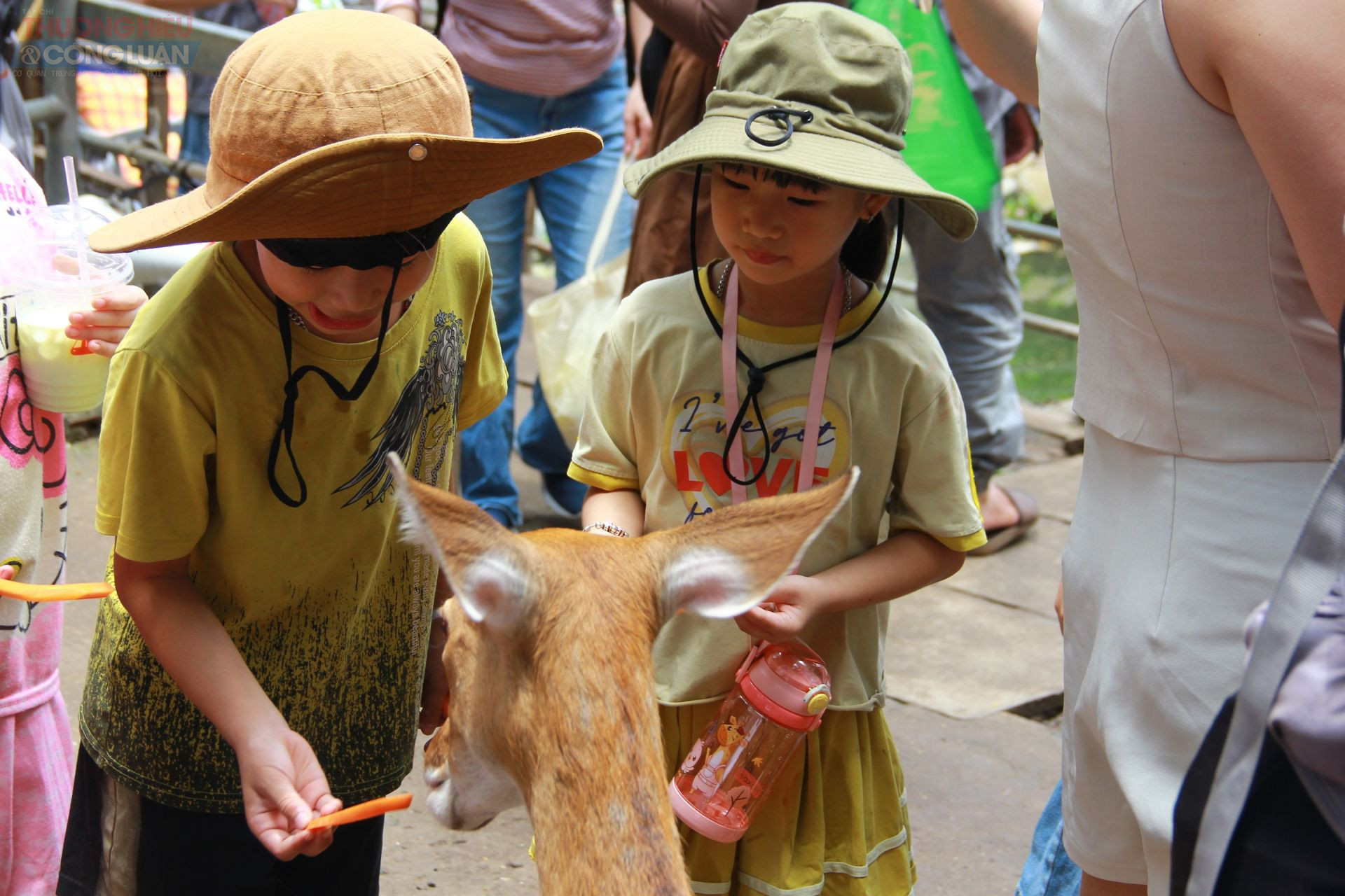 Các hoạt động xem thú, biểu diễn xiếc... thu hút các em nhỏ