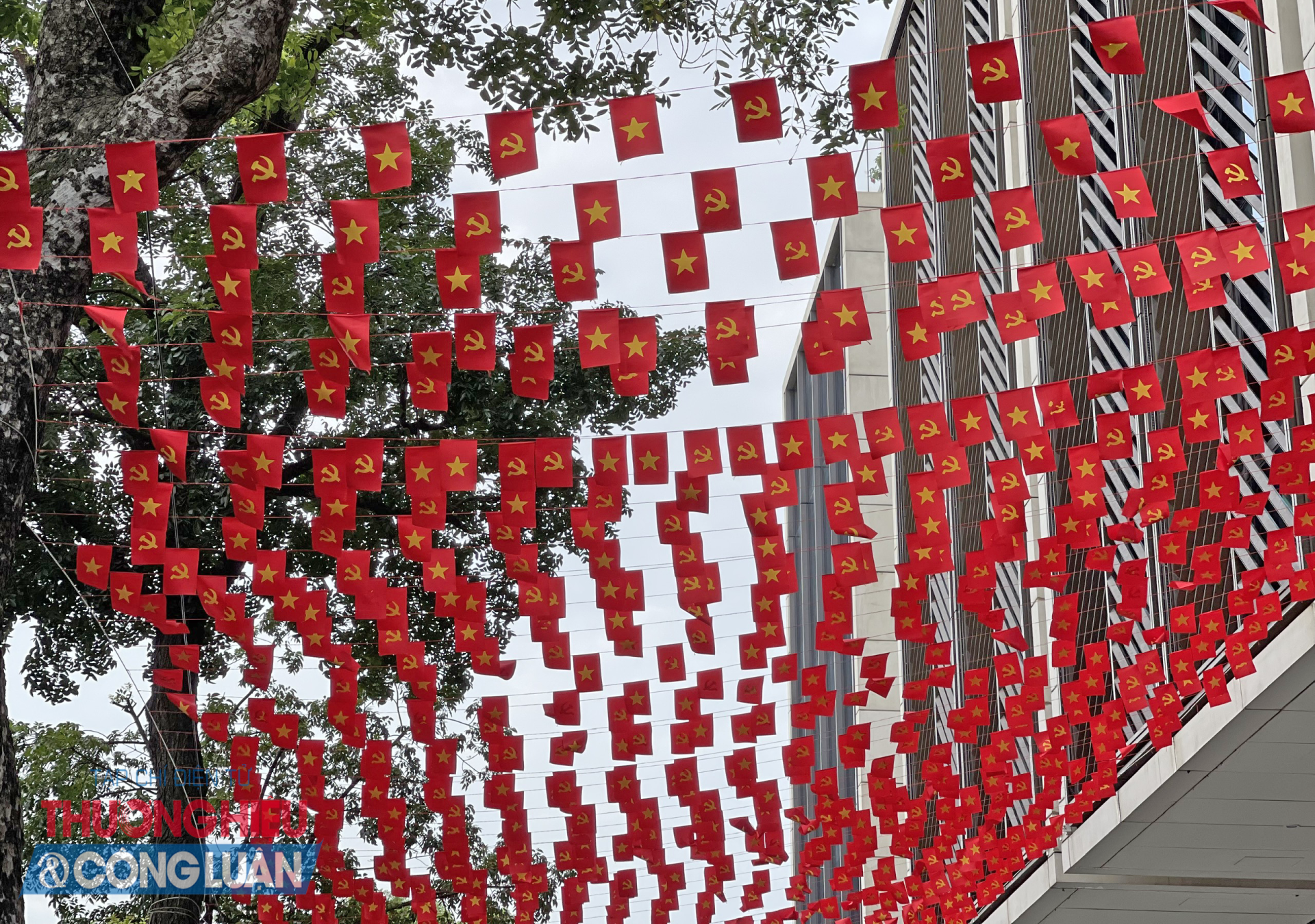 Phố Quang Trung – lá cờ đỏ sao vàng tung bay rợp trời trong không khí sôi nổi chào mừng Quốc khánh 2/9.