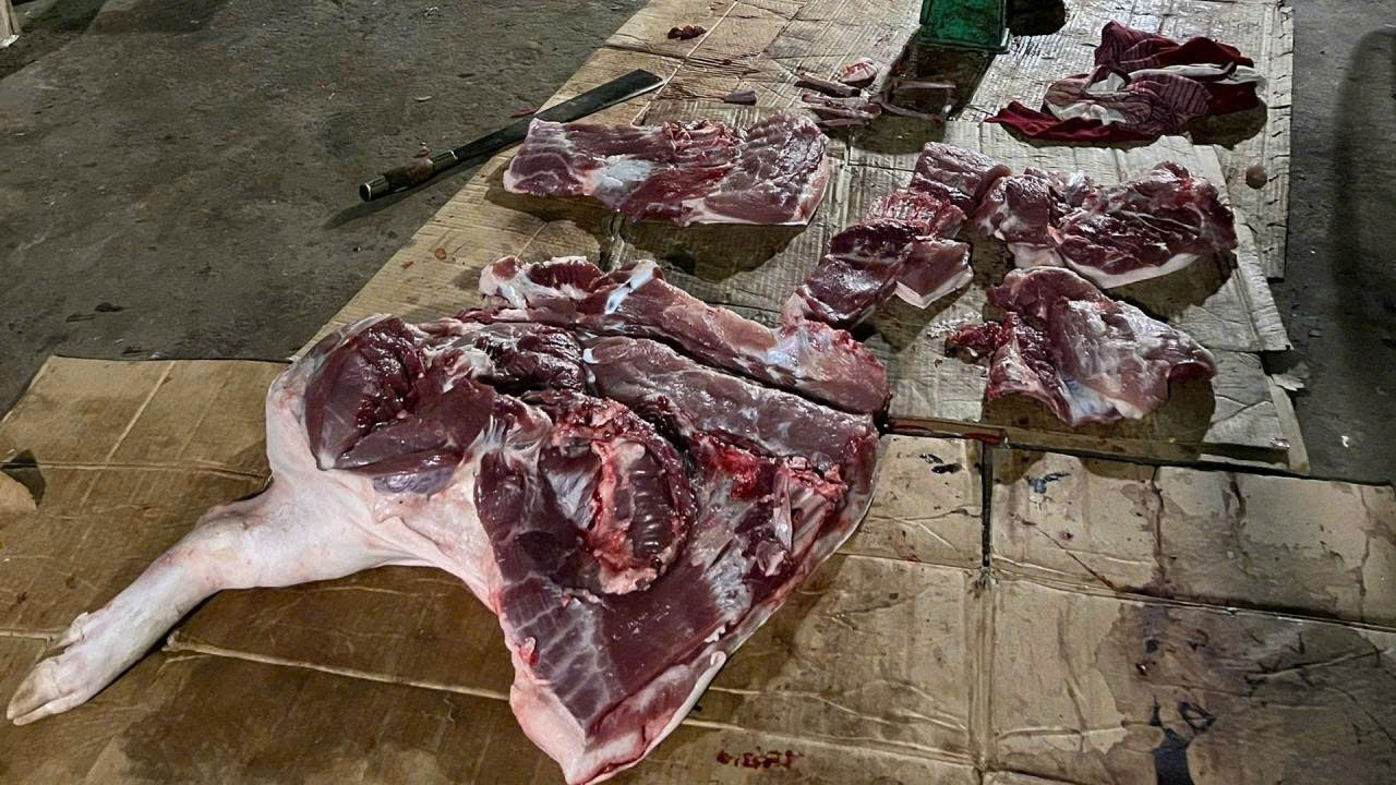 Nhận thấy vụ việc có dấu hiệu vi phạm pháp luật hình sự, ngày 01/8/2025, Đội QLTT số 9 đã chuyển toàn bộ hồ sơ vụ việc sang Cơ quan Cảnh sát điều tra - Công an tỉnh Thanh Hóa để xử lý nghiêm theo pháp luật