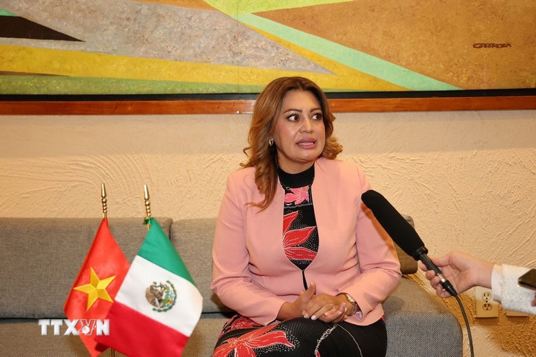 Hạ nghị sĩ Ana Karina Rojo Pimentel, Chủ tịch Ủy ban Phúc lợi Hạ viện Mexico